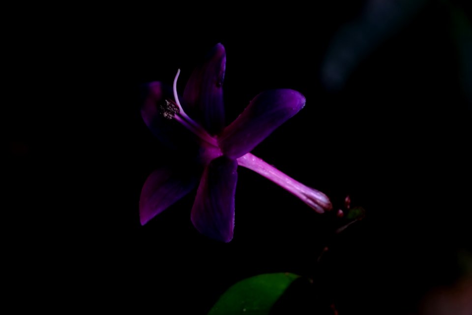 DSCF3492