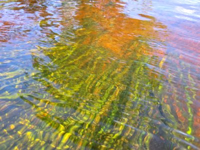 JacobowskiJ NearRaspberryLanding WildCeleryUnderwater 20120805 vpp