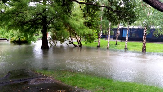 Riddiford Gardens Flooding, Lower Hutt