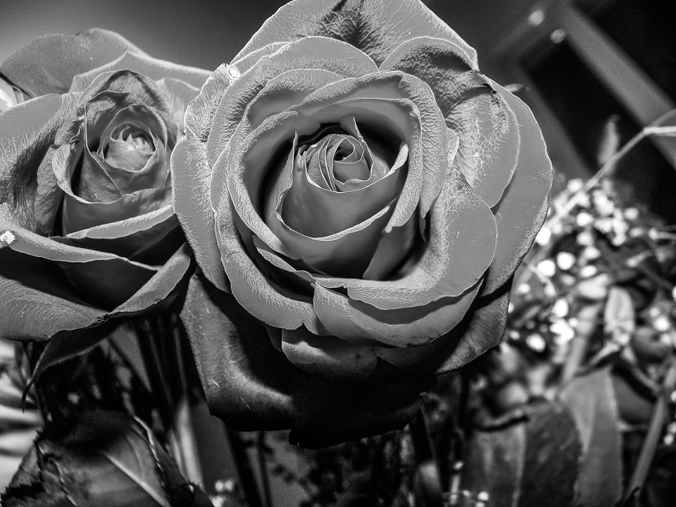 Relegio time flowers