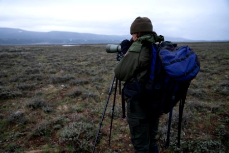Ranger looking through spotting scope