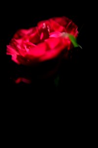 DSCF9916