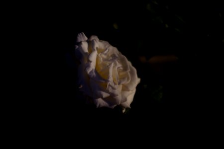 DSCF6718