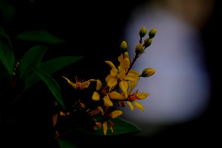DSCF1040