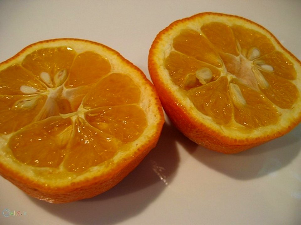 عکس نارنج