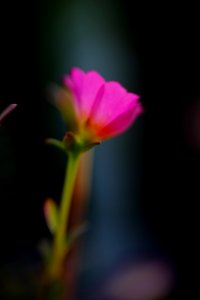 DSCF1742