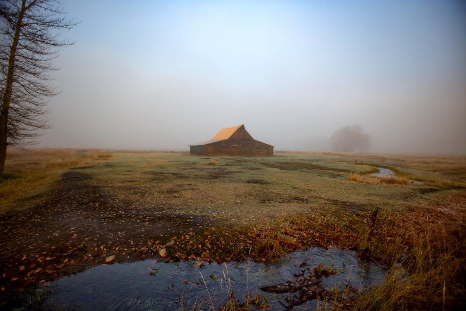 Foggy morning in October, Mormon Row