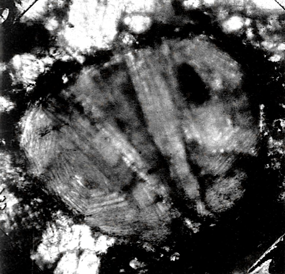 Table 30 - Figure 3