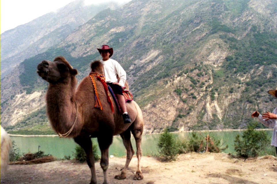 Camello, parada turistica camino de Chengdu a Yangshuo