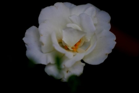 DSCF4878