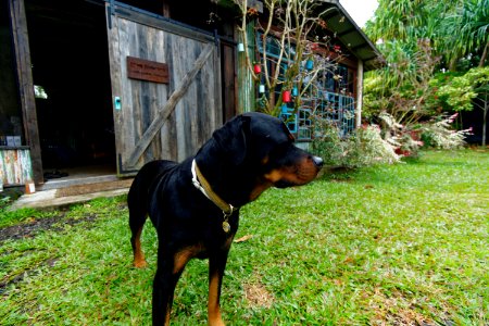 DSC 6911 DxO