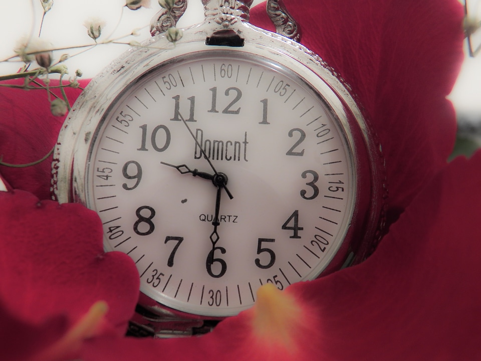 Relegio time flowers
