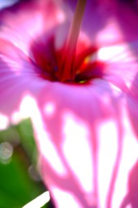 DSCF1702