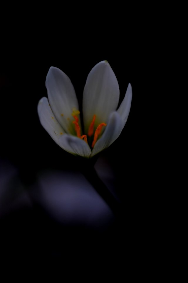 DSCF1396