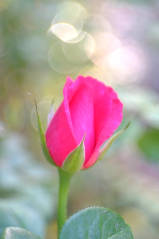 DSCF3001