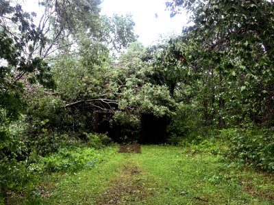 RomportlC FritzLanding StormDamage 20180618