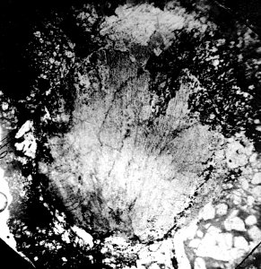 Table 03 - Figure 4