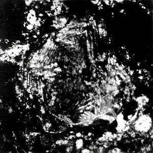Table 27 - Figure 3
