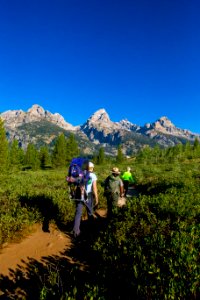 Visitors hiking with a ranger to Taggart Lake