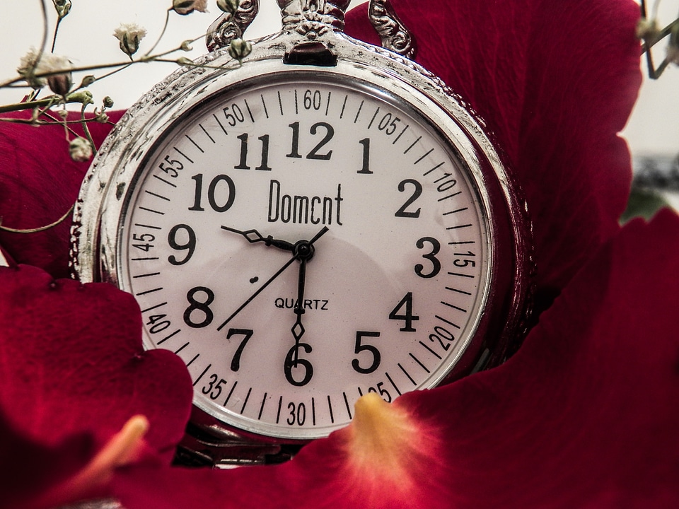 Relegio time flowers