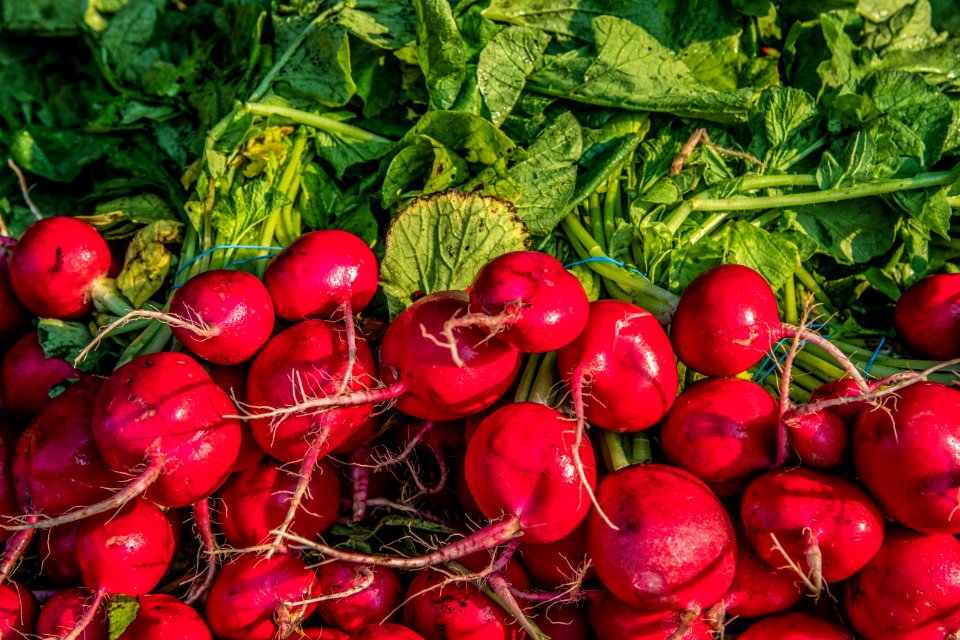 Corona Farmers Market