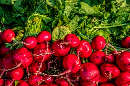 Corona Farmers Market