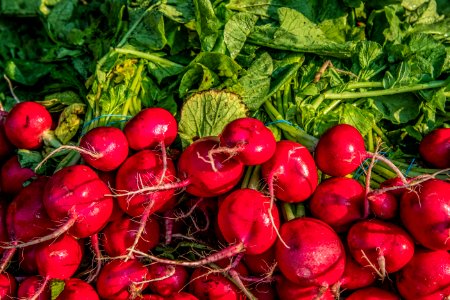 Corona Farmers Market photo