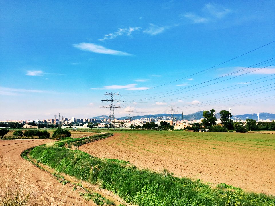 Agrothon