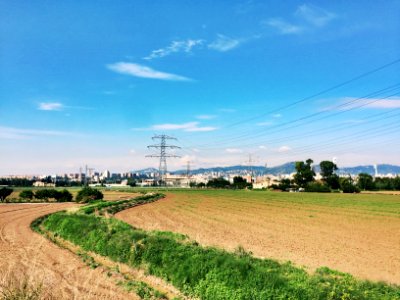 Agrothon