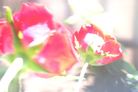 DSCF4332