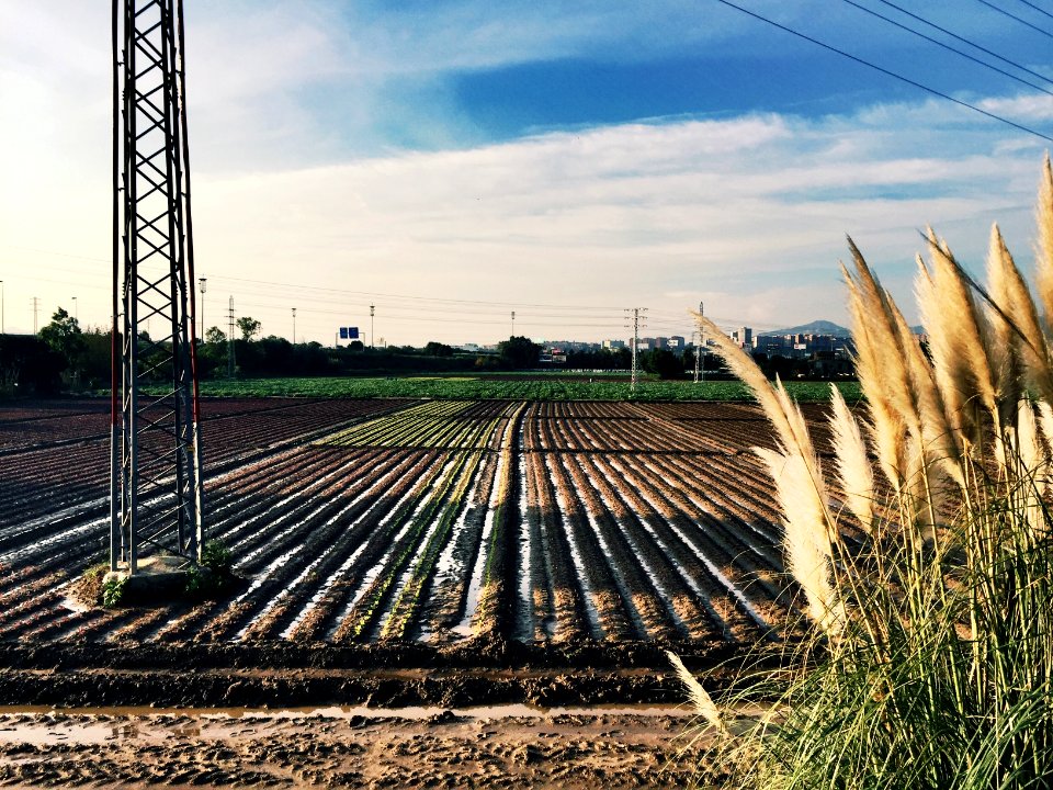Parc agrari/infraestructura/ronda?
