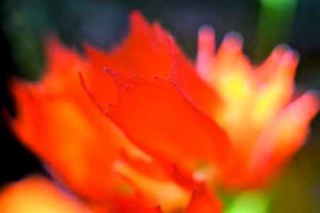 DSCF3577