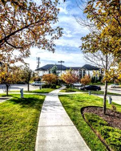 Its #fall in the #gorgeous #community of #evergreenyyc #captured before the #snow hit! #fallcolours #calgary #yyc #captureyyc #realestate #photography