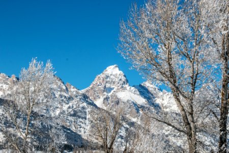 Frosty morning