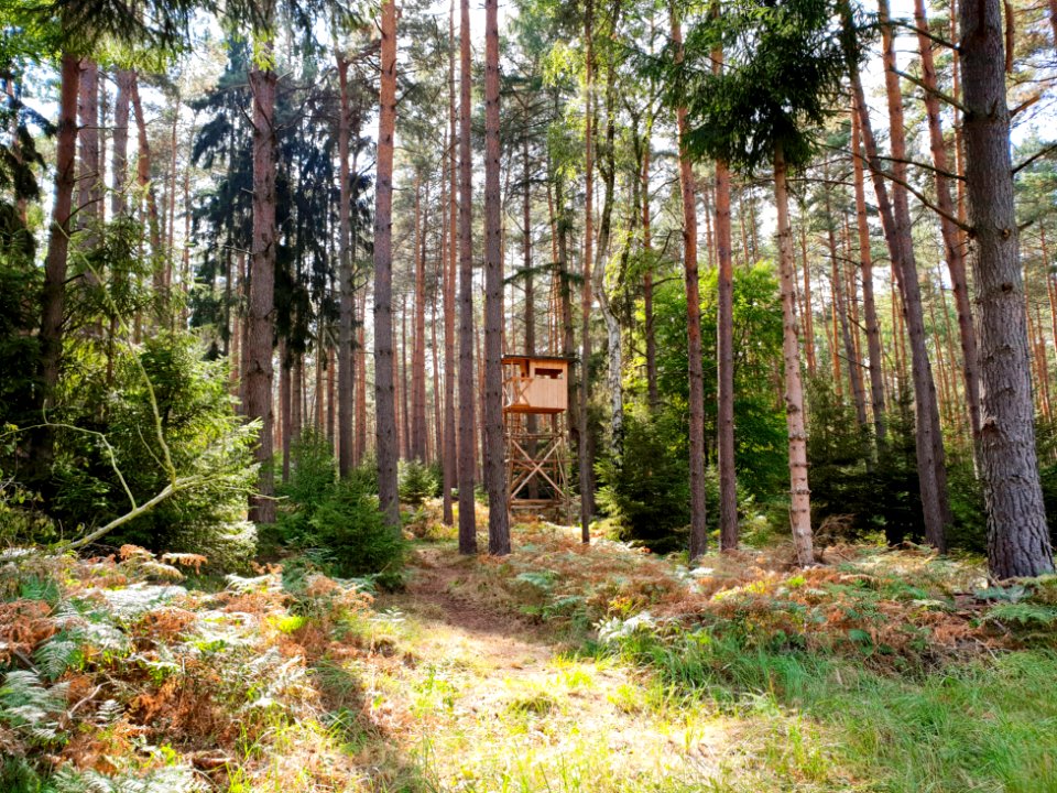 out of berlin 20181207 speckgürtel brandenburg 0067
