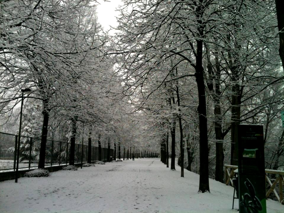 20. LA NEVICATA (di Elettra Borsella)