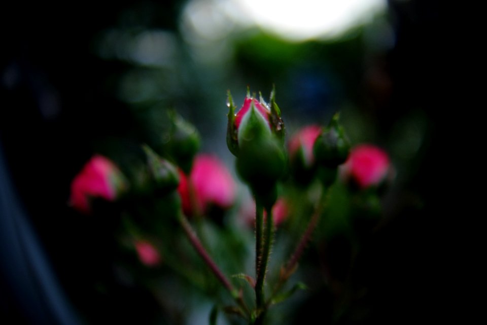 DSCF9758