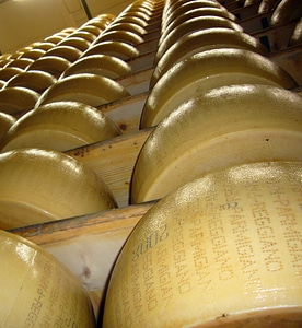 Italy parmesan cheese milk product
