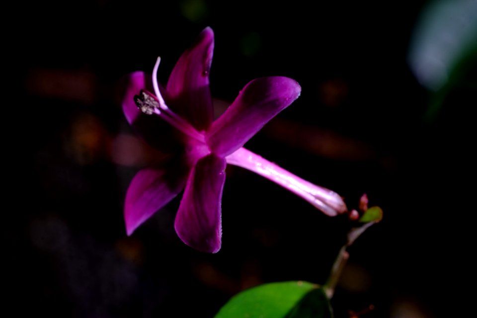 DSCF3493