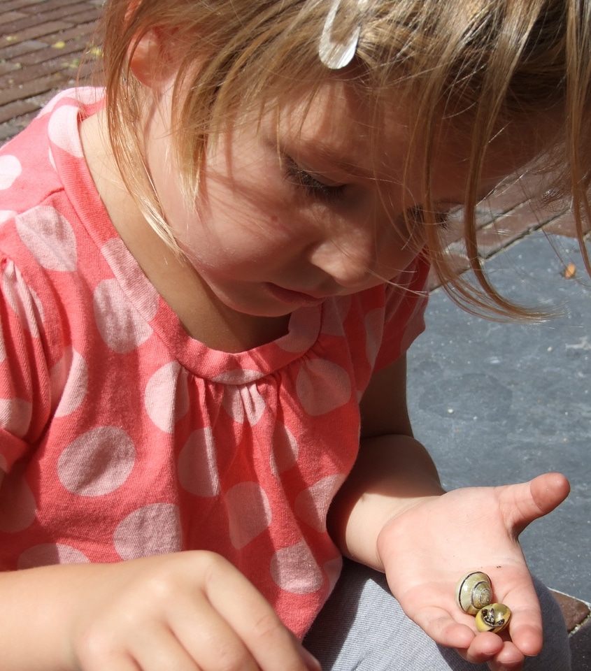 Child snails play