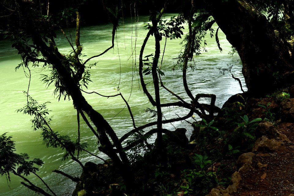 Green river Cahabon