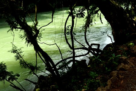Green river Cahabon photo