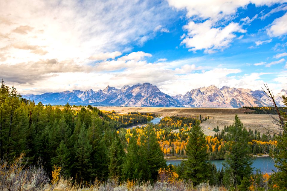 Snake River Overlook in fall
