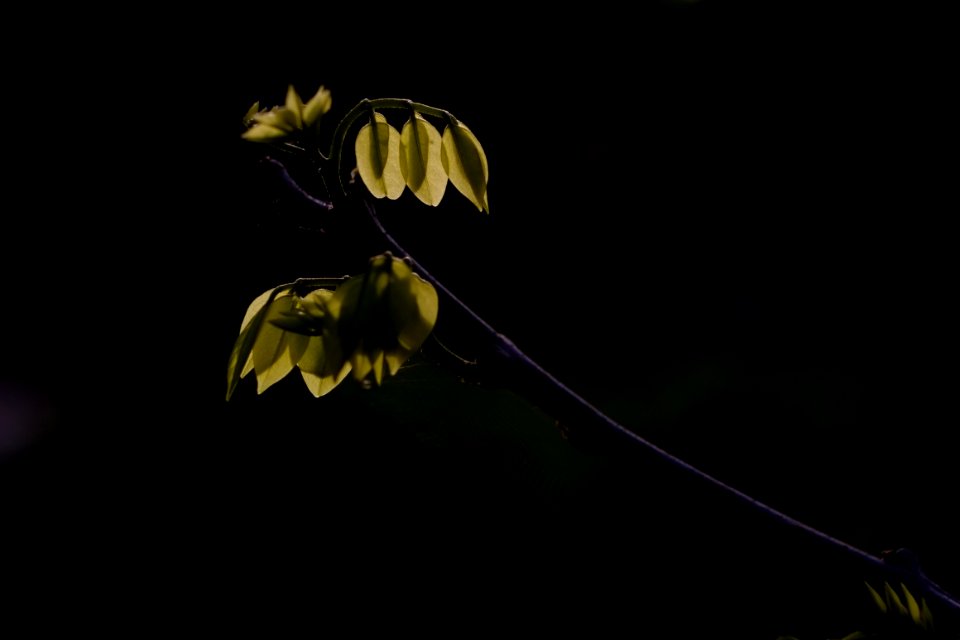 DSCF5037