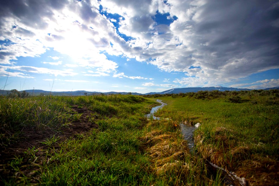 Ditch near Mormon Row
