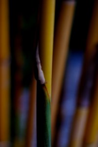 DSCF2273