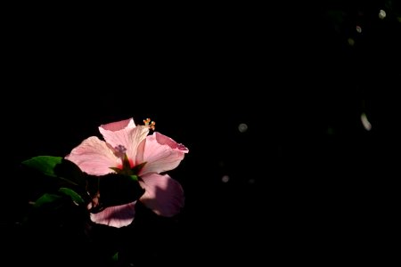 DSCF4612