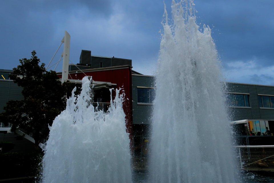 IMG 0496.JPG