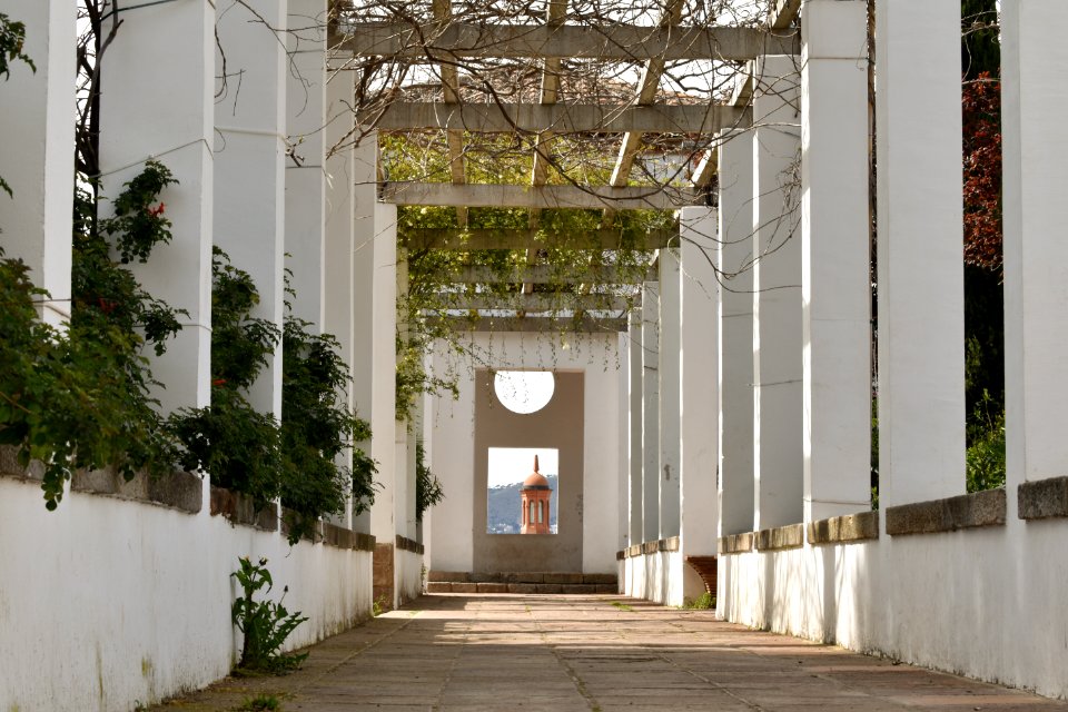 Jardines Sants-Montjuic Barcelona