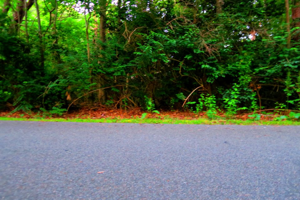 Get a load of that flippin' lightnin' bug in the middle!